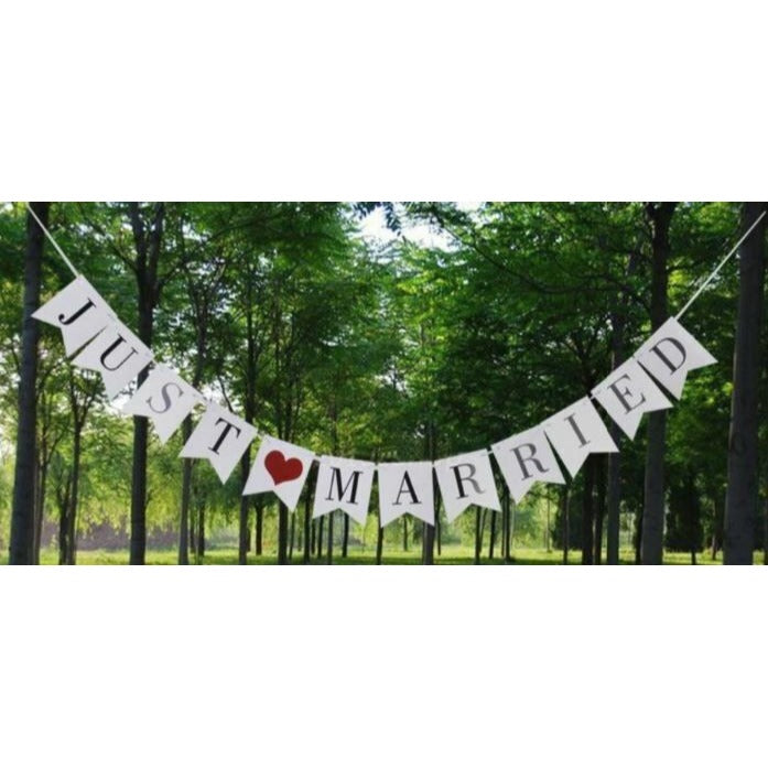 Just Married Banner MRS & MRS Gay Wedding Balloons Jumbo Balloon Tassel Garland