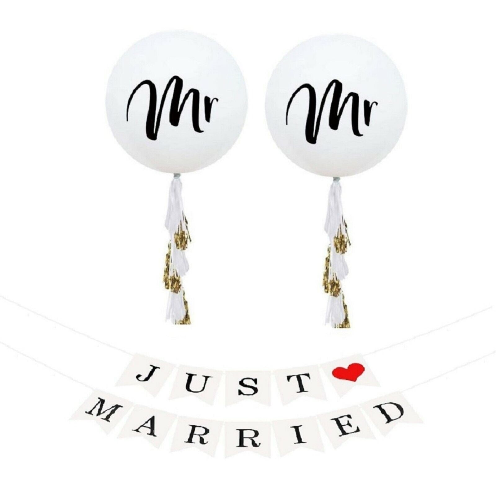 Just Married Banner MR & MR Gay Wedding Balloons Jumbo Balloon Tassel Garland