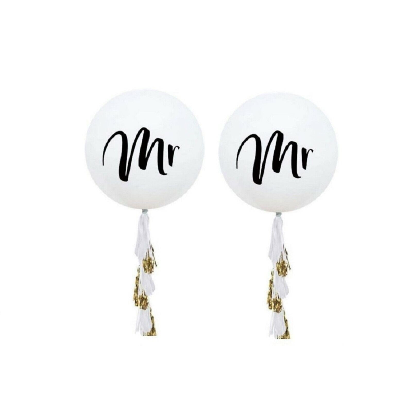 Just Married Banner MR & MR Gay Wedding Balloons Jumbo Balloon Tassel Garland